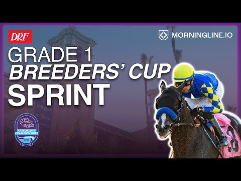 Видео: Спринт на Кубок заводчиков 1-го класса | 1 ноября 2025 г.