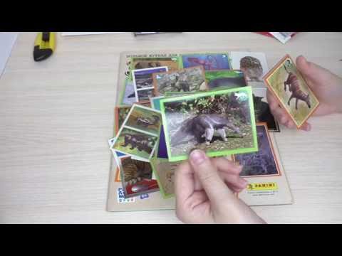 Видео: Меняемся наклейками (Зоопланета 2013). Часть 36