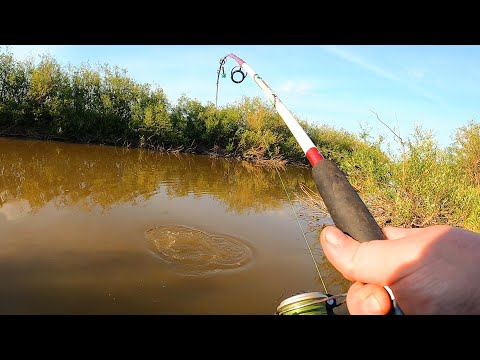 Видео: С ВЕЧЕРА ОДНИ КАРАСИ- А УТРОМ ПРИШЁЛ ОН! РЕЧКА-ПЕРЕПЛЮЙКА СНОВА РАЗДАЁТ! Рыбалка на донки с ночевкой