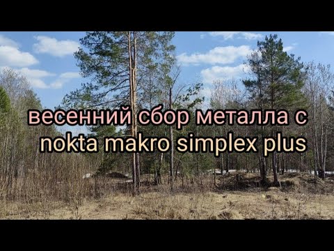 Видео: весенний сбор металла с #nokta makro simplex plus