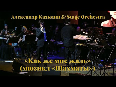 Видео: «Как же мне жаль» (мюзикл «Шахматы») — Александр Казьмин