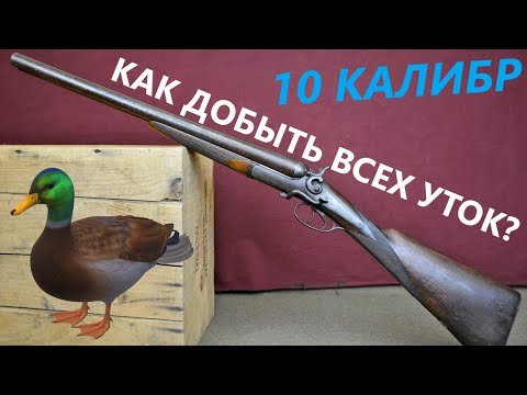 Видео: 💥 РУЖЬЕ 10 КАЛИБРА.  САМОЕ УТИНОЕ РУЖЬЕ.