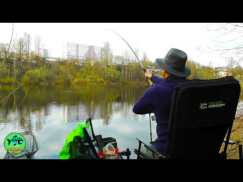 Видео: Прохожие Были в ШОКЕ! Рыбалка на ФИДЕР Весной. Западная Двина.