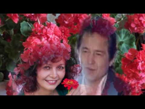 Видео: Сафин Габделфәт - " Яран гөлем" ( " Моя герань " )