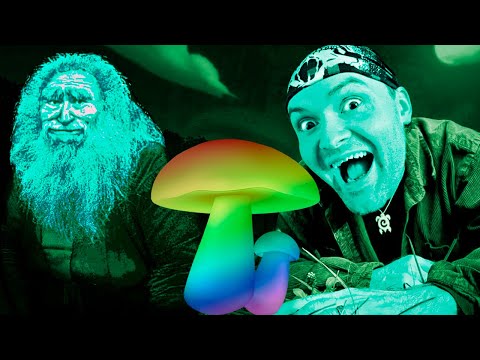 Видео: Я НЕ ИСКАЛ ЕГО, НО ОН НАШЕЛ МЕНЯ ► No, I'm not a Human #3 (Грибная концовка)