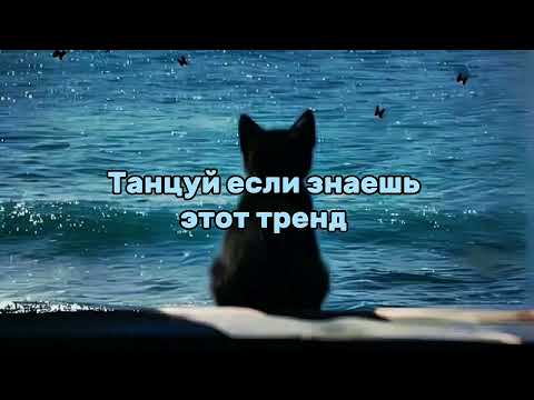 Видео: 🩵🖤Танцуй если знаешь этот тренд 2025 года🖤🩵