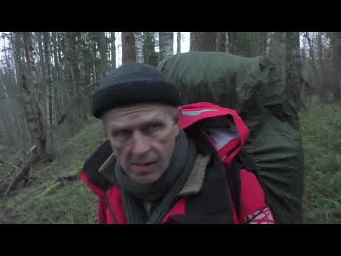 Видео: В одиночку в Холодную Глушь (1).  Выбор места для лагеря. Лучковая пила. Готовлю ужин