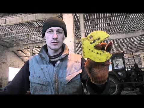 Видео: Как использовать шаблон для копыт. Сlaw - check.