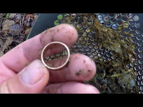Видео: ЗОЛОТО!!!ЗОЛОТО!!!ЗОЛОТООО!!!ФАРТОВЫЙ КОП ПОД ВОДОЙ!!!Minelab CTX3030 .