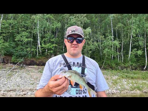 Видео: ОТДЫХ С ЖЕНОЙ НА КРАСНОЯРСКОМ ВОДОХРАНИЛИЩЕ. ЗАЛИВ БИРЮСИНСКИЙ.