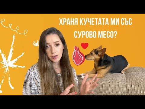 Видео: Храня моите кучета със сурово месо, а не гранули