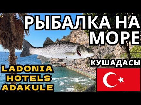 Видео: СО СПИННИНГОМ НА ОТДЫХ В ТУРЦИЮ! РЫБАЛКА на ПЛЯЖЕ!Кушадасы! Ладония Адакуле! Ladonia Hotels Adakule!