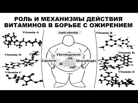 Видео: РОЛЬ И МЕХАНИЗМЫ ДЕЙСТВИЯ ВИТАМИНОВ В БОРЬБЕ С ОЖИРЕНИЕМ
