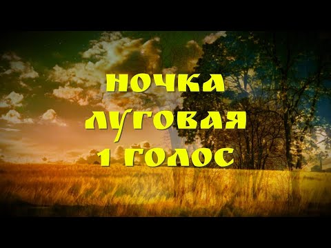 Видео: Ночка луговая.Разучиваем песню на три голоса. 1 голос.