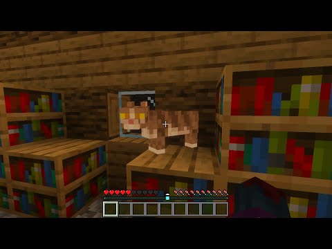 Видео: прятки мобов в Minecraft