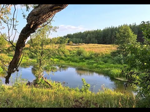 Видео: Сплав по реке Хопёр. Стапель. Село Секретарка. Пензенская область.