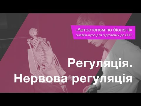 Видео: Регуляція. Нервова регуляція – Підготовка до ЗНО – Біологія