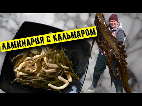 Видео: Сахалинские дары моря. Морская капуста(Ламинария) с Кальмаром, готовим просто и вкусно.