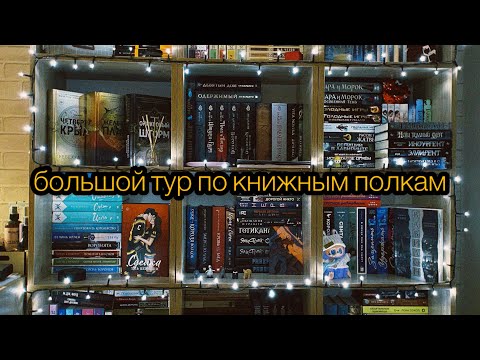 Видео: мои книжные полки