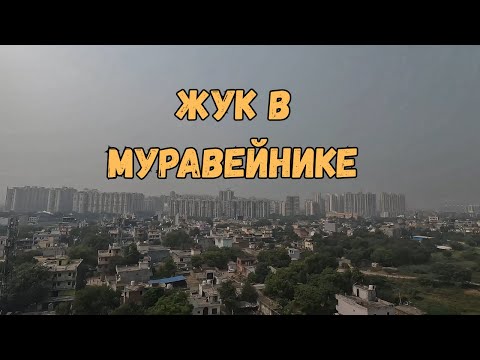Видео: Влог из Дели: Фастфуд, улицы и подготовка к Дивали! 🌍🍔✨