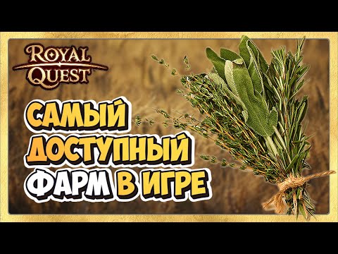 Видео: 🎬 Royal Quest Фарм 🌿 Самый Лучший Фарм для Новичков. Где фармить новичку