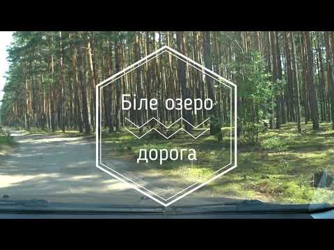 Видео: В каком состоянии дорога к Белому озеру? | 2021