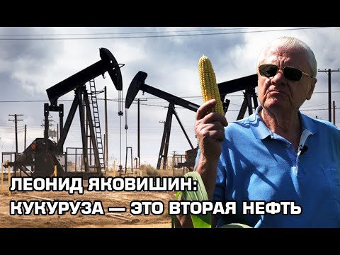 Видео: Леонид Яковишин: Кукуруза — это вторая нефть | Latifundist