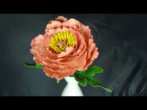 Видео: ПИОН " КОРАЛ" ИЗ ХОЛОДНОГО ФАРФОРА  (Paeonia "Coral")