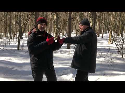 Видео: "Оттолкнуть обезьяну" - разбираем тайцзицюань 24 формы Ян