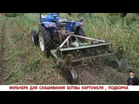 Видео: МУЛЬЧЕРА ДЛЯ СКАШИВАНИЯ БОТВЫ КАРТОФЕЛЯ, ПОДБОРКА ВИДЕО / mulcher for harvesting potato haulm