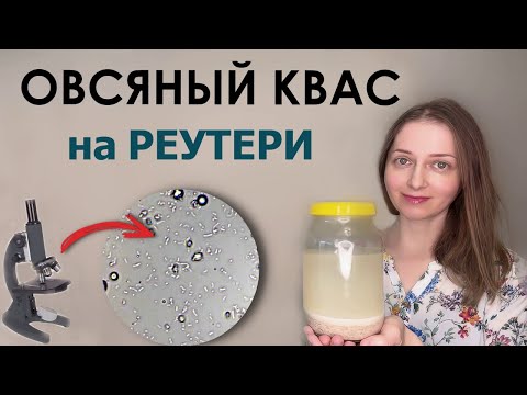 Видео: Множество лактобактерий в освежающем пробиотическим квасе! Рецепт. Квас под микроскопом.