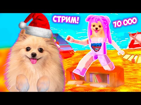 Видео: НОВЫЕ ИГРЫ В РОБЛОКС ! 70000 ПОДПИСЧИКОВ ! СТРИМ ROBLOX