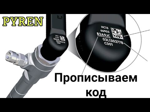 Видео: Прописка форсунки Continental\Siemens на 1.5 дци Рено с помощью Pyren.