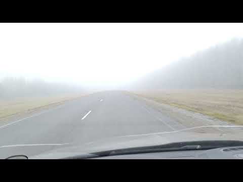 Видео: Дорога, туман 27.10.2025