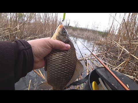 Видео: Мормышка МАСТЫРКА  Поплавок Как я Скучал за этой Снастью