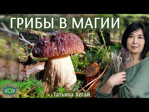 Видео: 🌿 Применение грибов в магии. Городское травничество. Татьяна Хегай