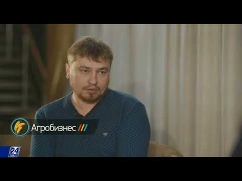 Видео: Система хранения зерна в Казахстане
