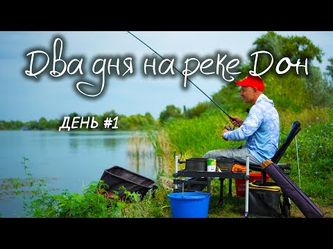 Видео: Два дня на реке Дон! Рыбалка на фидер. День первый