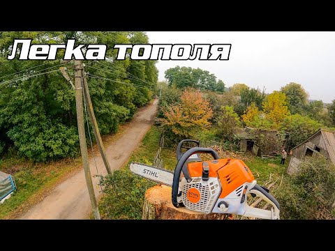 Видео: Швидко ріжемо суху тополю