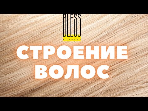 Видео: СТРОЕНИЕ ВОЛОС. Медула, кортекс, кутикула