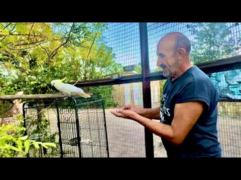 Видео: Так РАДОСТНО! Кира, выйдя замуж просто РАСЦВЕЛА, а Кеша ревнует ее к Владу со страшной силой!