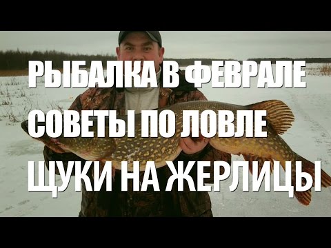 Видео: ЩУКА на ЗИМНИЕ ЖЕРЛИЦЫ. ПОДЛЕДНАЯ РЫБАЛКА в ФЕВРАЛЕ