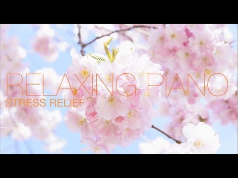 Видео: Спокойная Музыка Для Снятия Стресса  - RELAXING PIANO - Music  - Звуки Природы / Stress Relief Music
