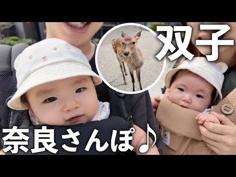 Видео: Близнецы встречают оленей в парке Нара 🦌