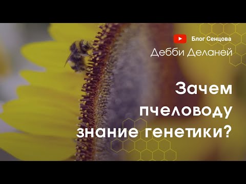 Видео: Зачем пчеловоду знание генетики? Дебби Деланей, лекция 2015