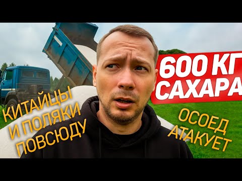Видео: Почему мы не качаем мёд?/купили пол тонны сахара/лечим пчёл/осоед всех сожрал