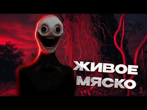Видео: ЖИВОЕ МЯСКО ХОЧЕТ ТЕБЯ (обзор Vita Carnis)