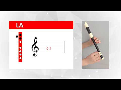 Видео: "Тоохуу нэгэн хос" бишгүүрээр хөгжимдье