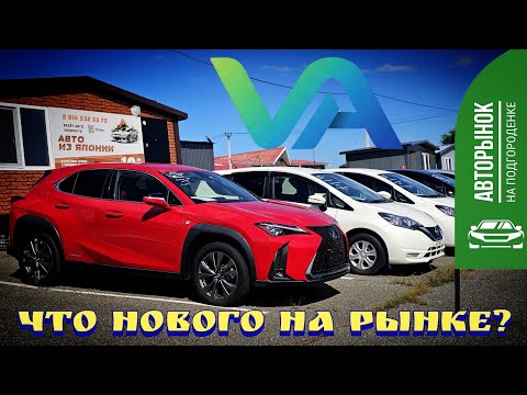 Видео: #автоподбор ЧТО НОВОГО НА РЫНКЕ?