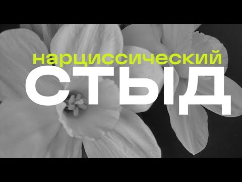 Видео: Нарциссический стыд
